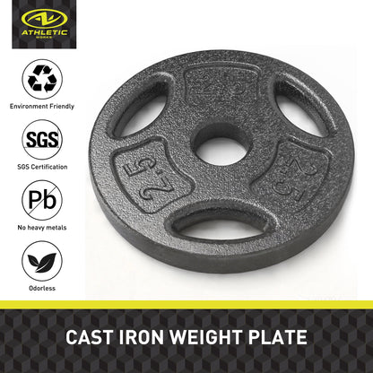 100LB Black Cast Iron Standard Weight Plate Sets, Used as Both Dumbbell and Barbell,1-Inch Holes Fit Standard Sized Bar